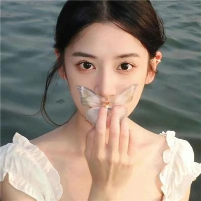 彩岛人生